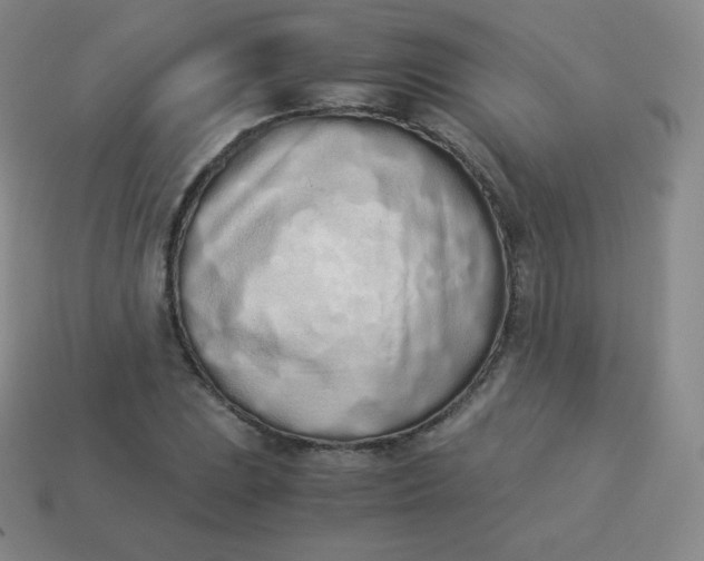 X0000113911023200910081845