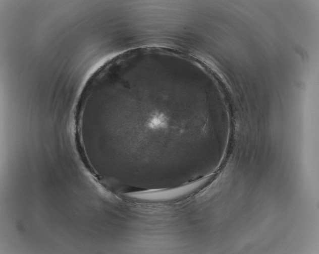 X0000113911024200910081845