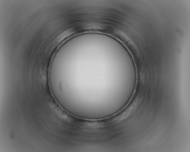 X0000113911025200910081845