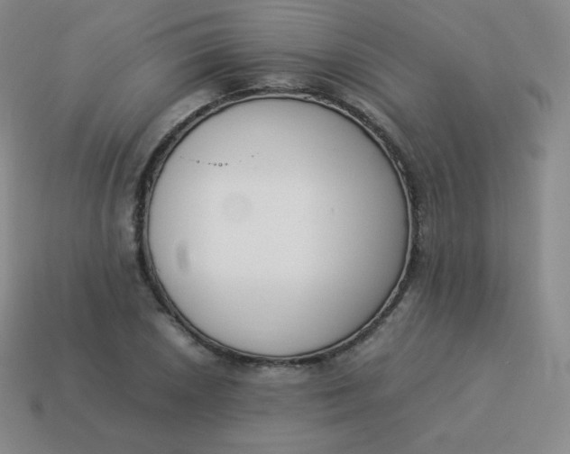 X0000113911026200910081845