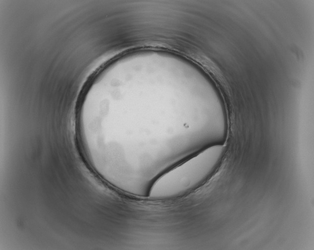 X0000113911028200910081845