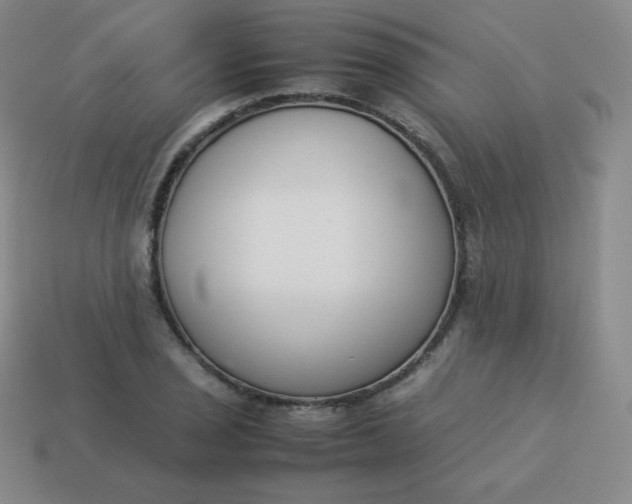 X0000113911029200910081845