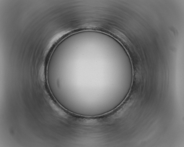 X0000113911030200910081845