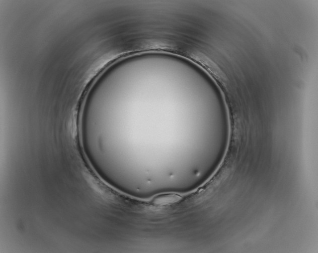 X0000113911031200910081845