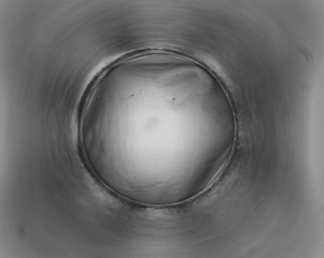 X0000113911032200910081845