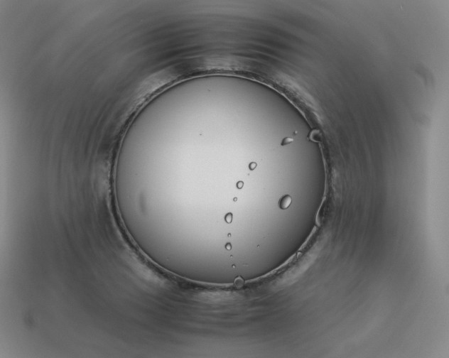 X0000113911033200910081845