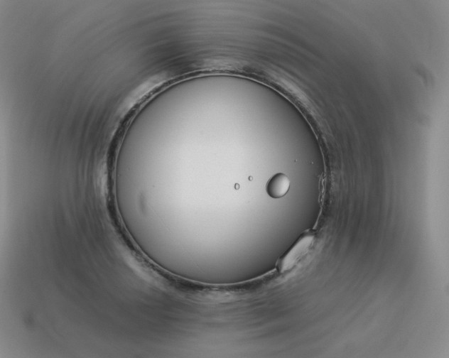 X0000113911034200910081845