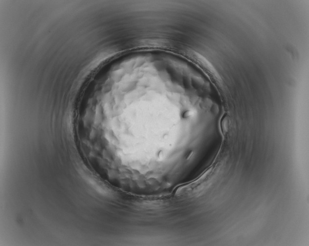 X0000113911035200910081845