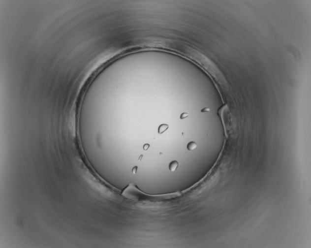 X0000113911036200910081845