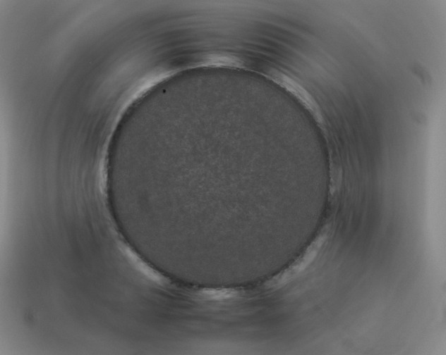 X0000113911037200910081845