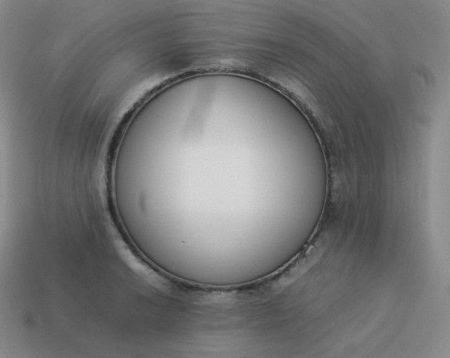 X0000113911038200910081845