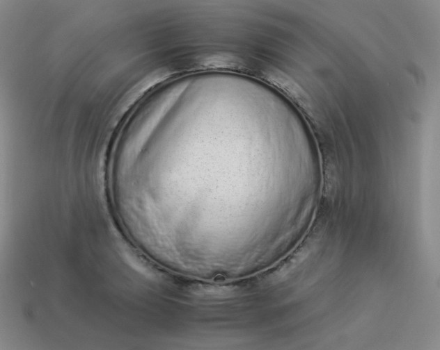 X0000113911039200910081845