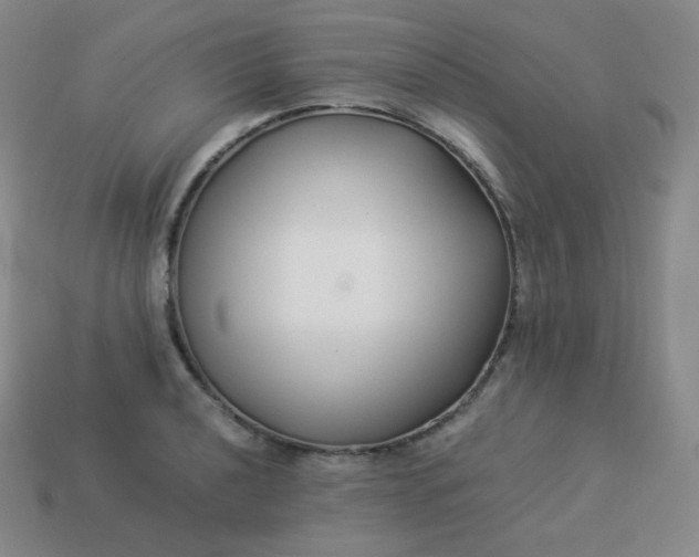 X0000113911040200910081845