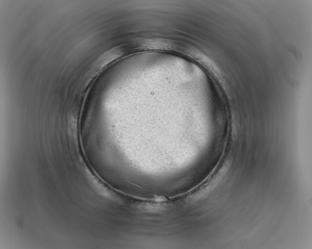 X0000113911041200910081845