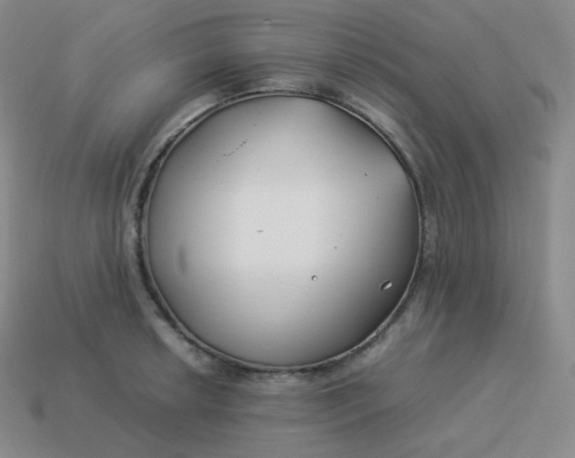 X0000113911042200910081845