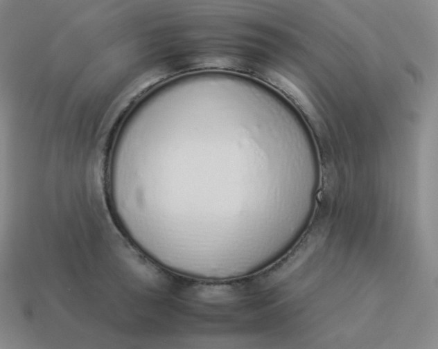 X0000113911043200910081845