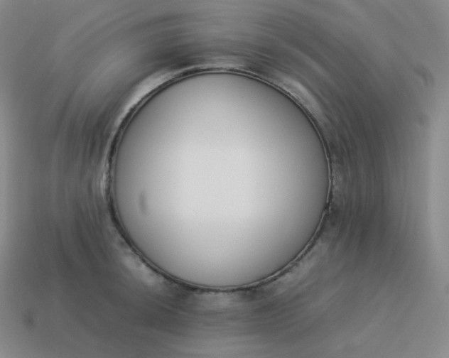 X0000113911044200910081845