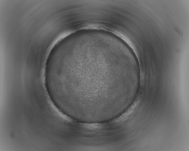 X0000113911045200910081845