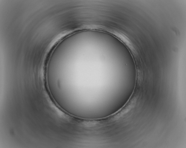 X0000113911046200910081845