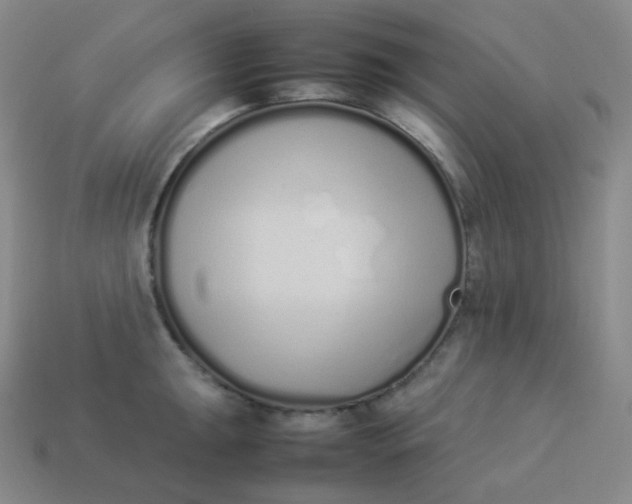 X0000113911047200910081845