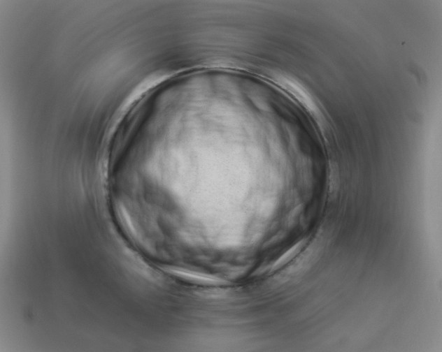 X0000113911048200910081845