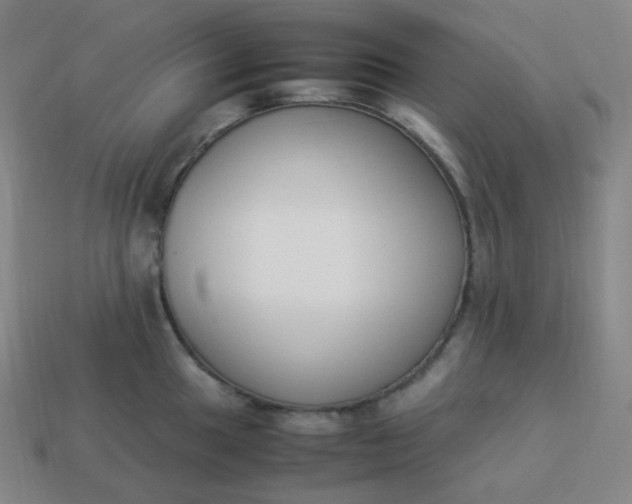 X0000113911049200910081846