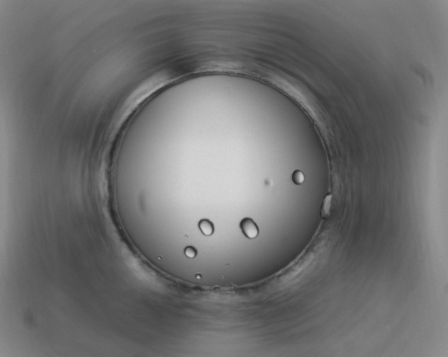 X0000113911050200910081846