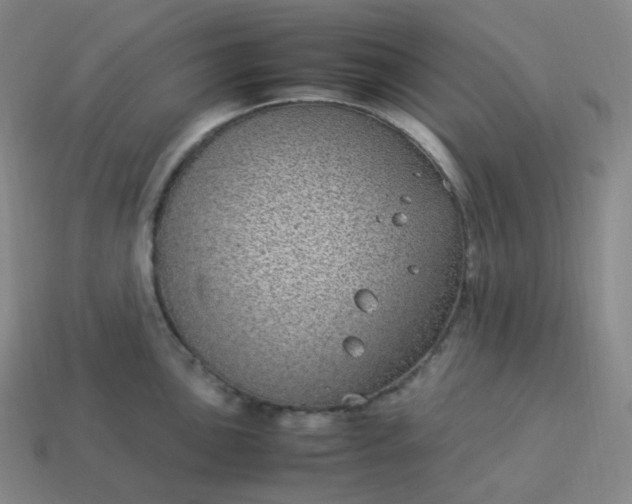 X0000113911051200910081846