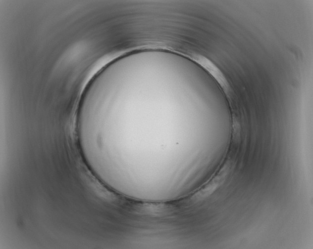 X0000113911052200910081846