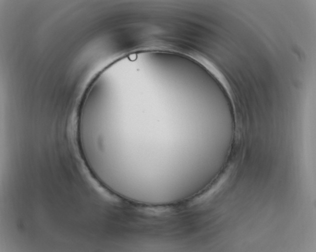 X0000113911053200910081846