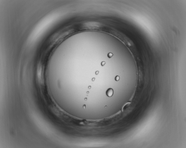 X0000113911054200910081846