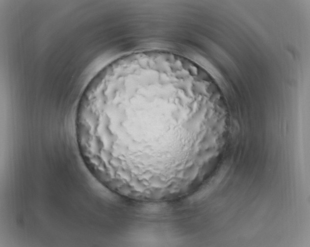 X0000113911055200910081846