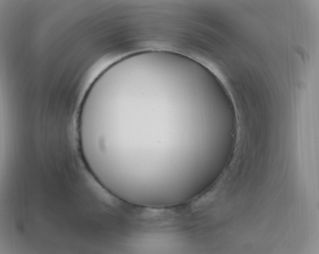 X0000113911056200910081846