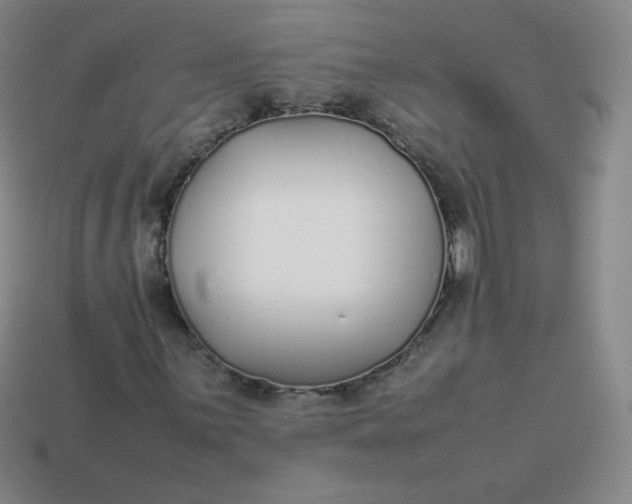 X0000113911059200910081845