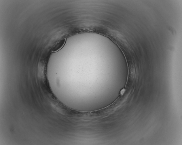 X0000113911060200910081845