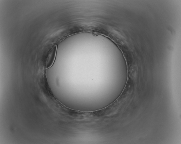 X0000113911061200910081845