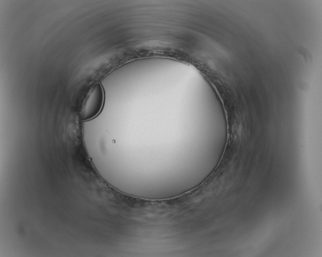 X0000113911062200910081845