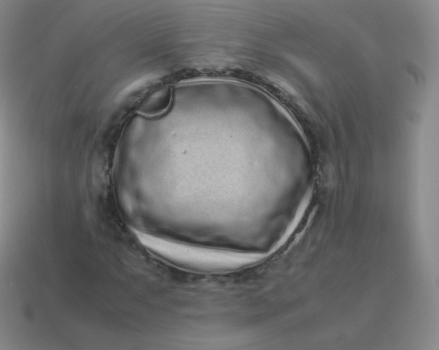 X0000113911063200910081845