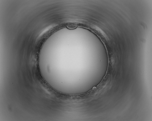 X0000113911064200910081845