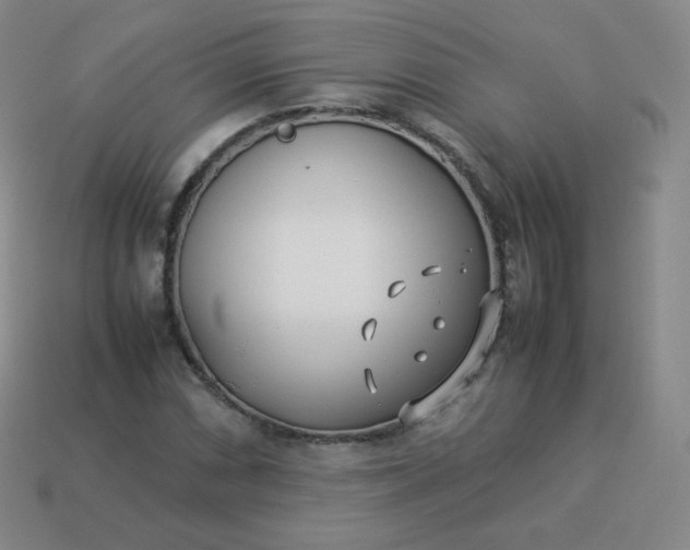 X0000113911066200910081845