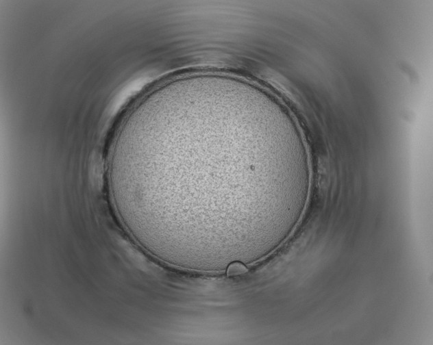 X0000113911067200910081845