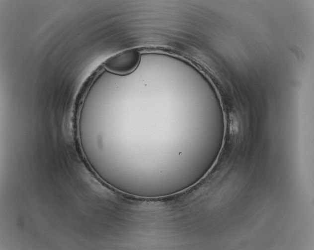 X0000113911068200910081845