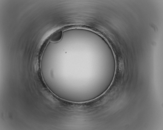 X0000113911069200910081845