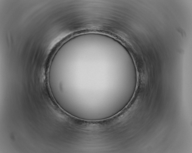 X0000113911070200910081845