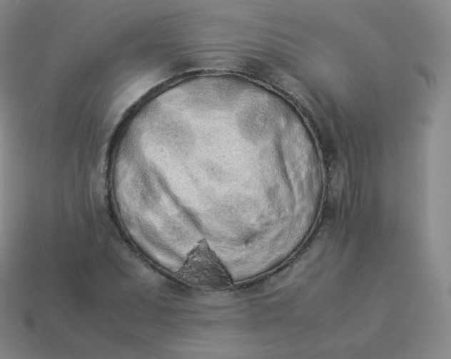 X0000113911071200910081845