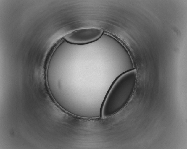 X0000113911072200910081845