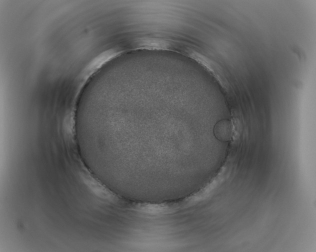 X0000113911074200910081845