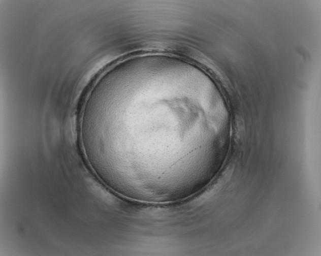 X0000113911075200910081845