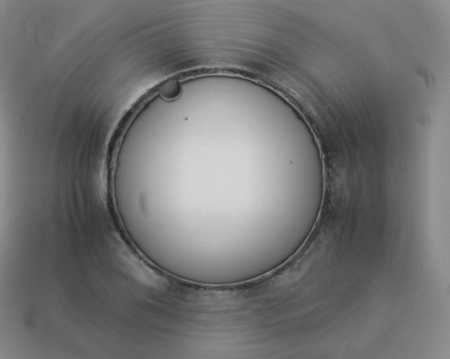 X0000113911076200910081845