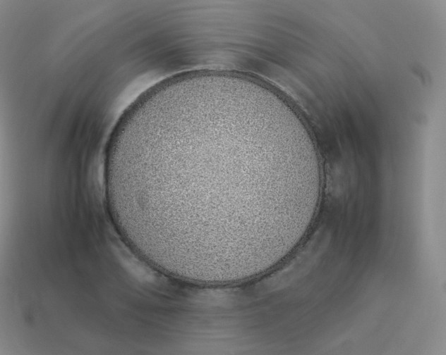 X0000113911078200910081845